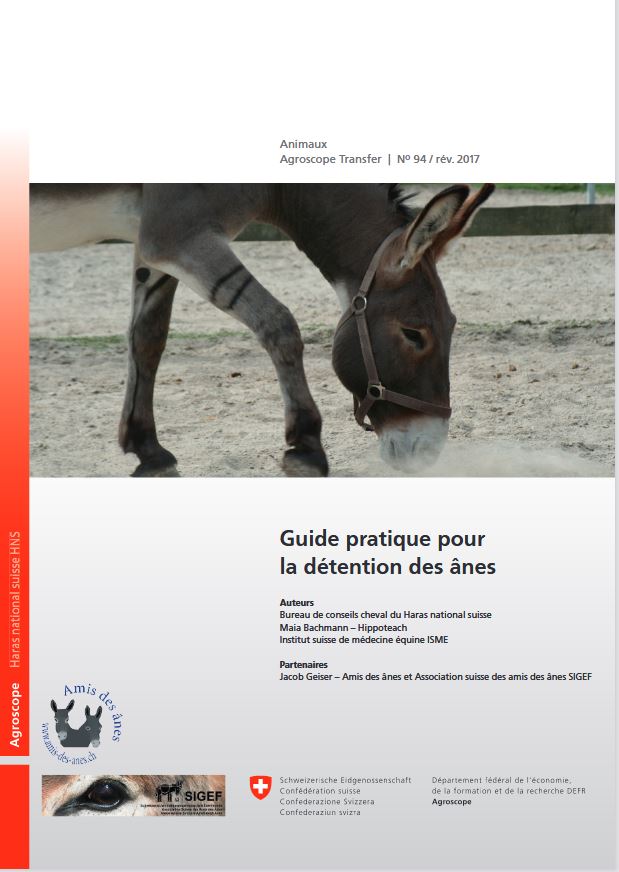 Guide pratique pour la détention des ânes